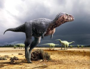 dinosauri carnivori - esterno