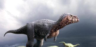 dinosauri carnivori - esterno