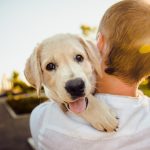 Repellenti naturali per cani: come disincentivarli a fare la pipì in casa